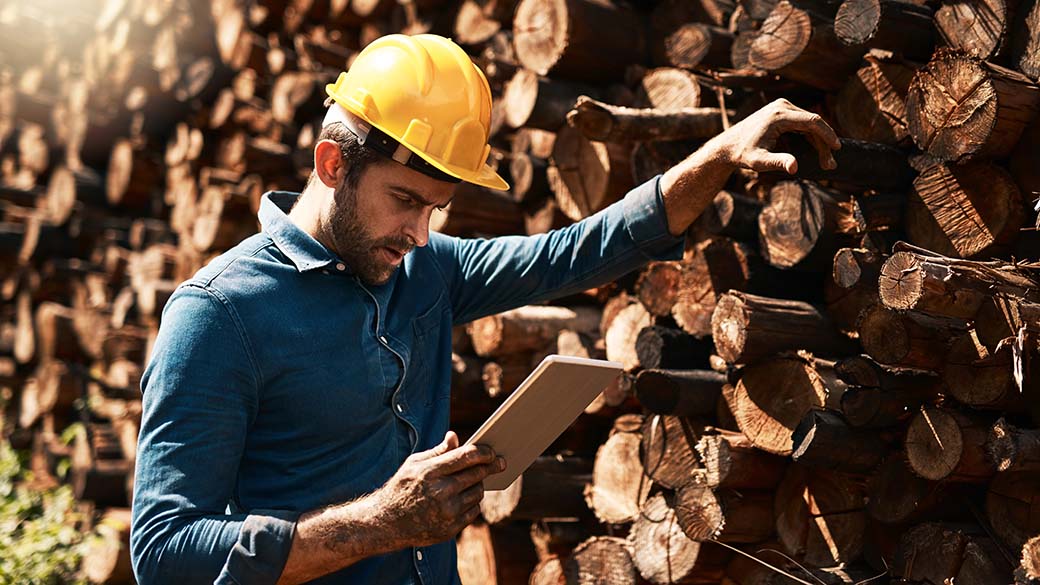 Cropped shot of a lumberjack using his tablet while standing in front of a pile of wood.